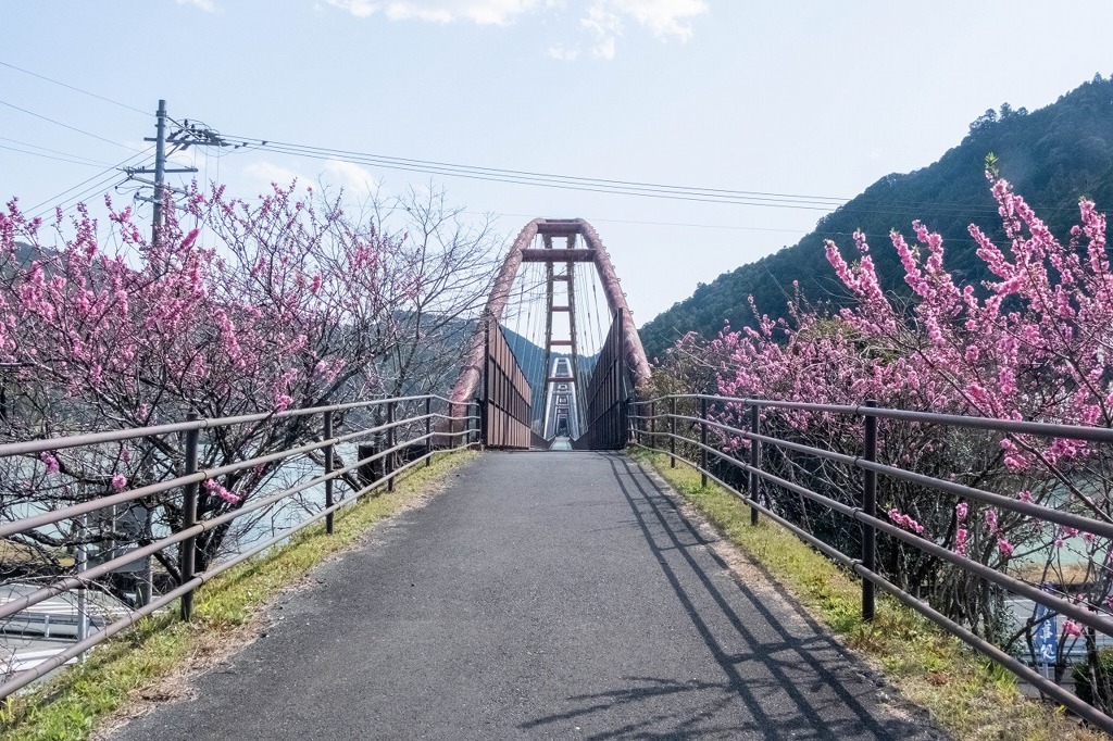 花桃の里（２）