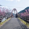 花桃の里（２）