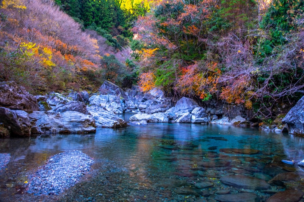 12月の高知（28）