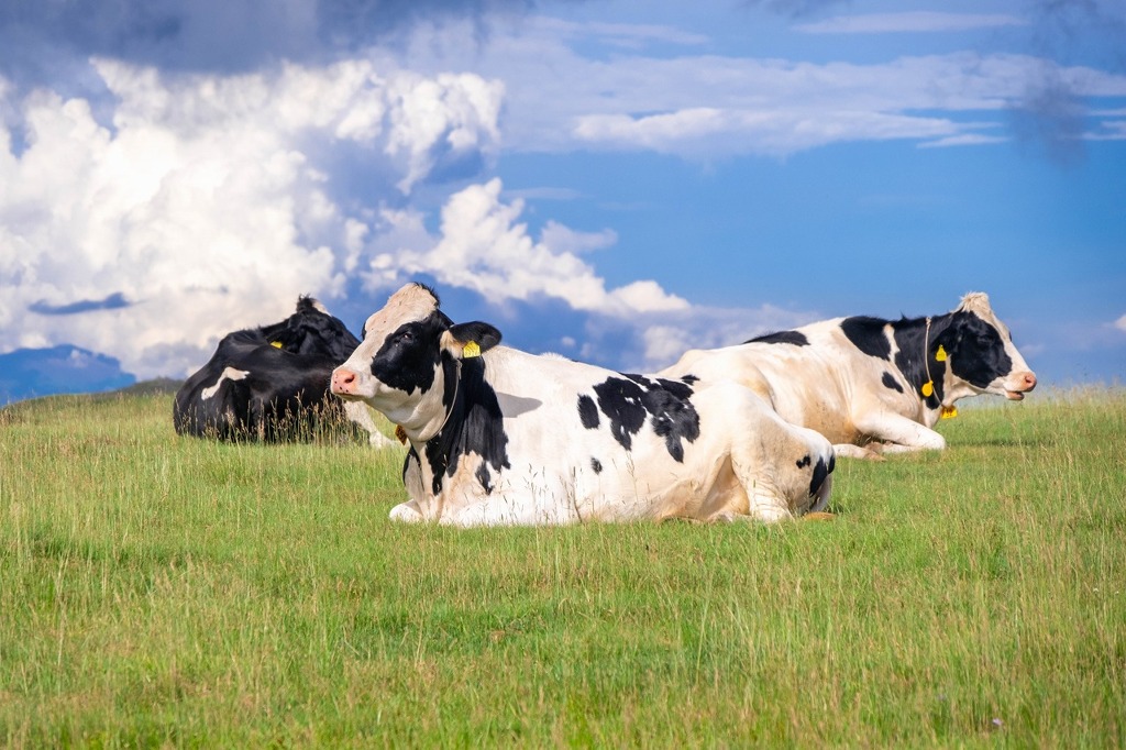 美ヶ原の夜明け（12）