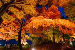 山中湖紅葉まつり(4) 山中湖紅葉まつり(4)