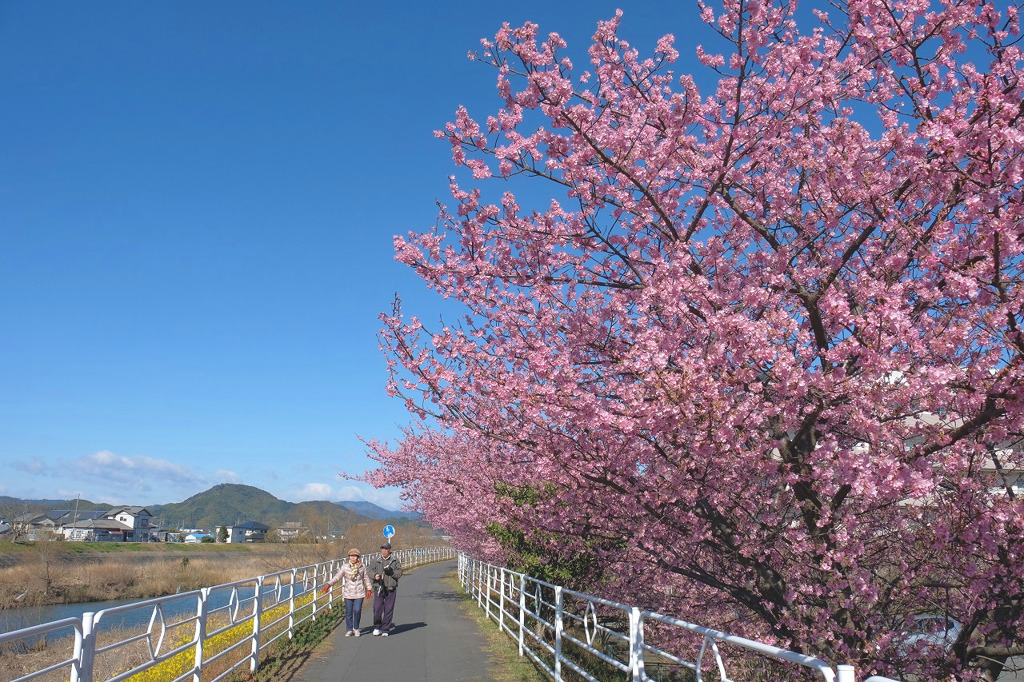 いくつになっても
