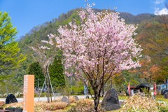 黒部立山ルペンルート50周年（４）