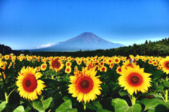 ２０１６年山中湖の夏（１）