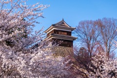 上田の春（３）