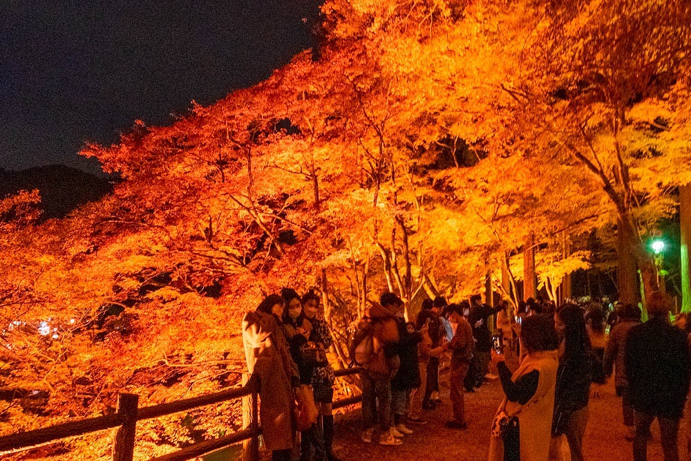 夜の香嵐渓（８）