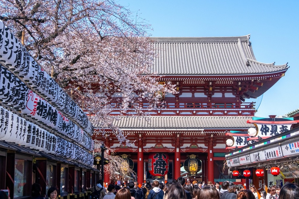 2020年東京の春（28）
