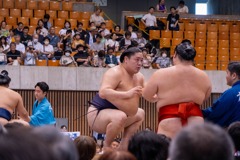大相撲静岡場所（39）