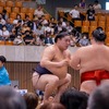 大相撲静岡場所（39）