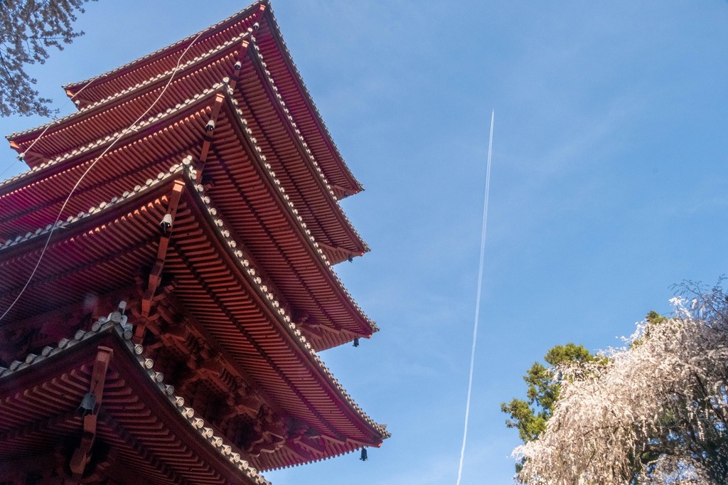 久遠寺の春（７）