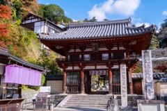 12月の奈良（64）