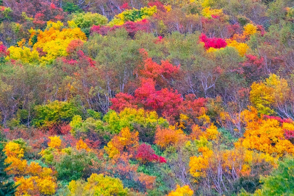 秋の立山アルペンルート（７）