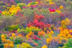秋の立山アルペンルート（７）