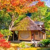 秋の京都（25）