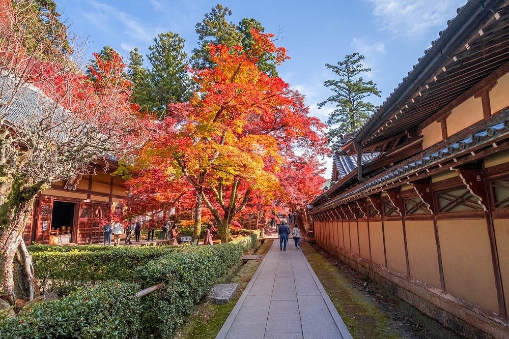 秋の永源寺（５）