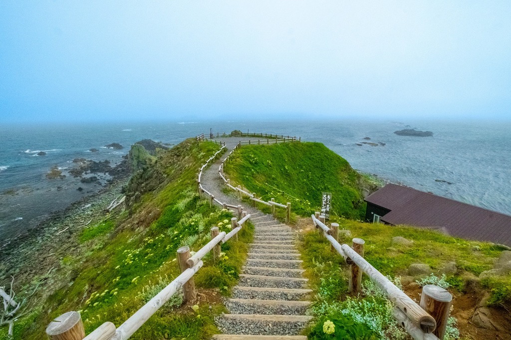 礼文島（１）