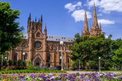 シドニー（29）