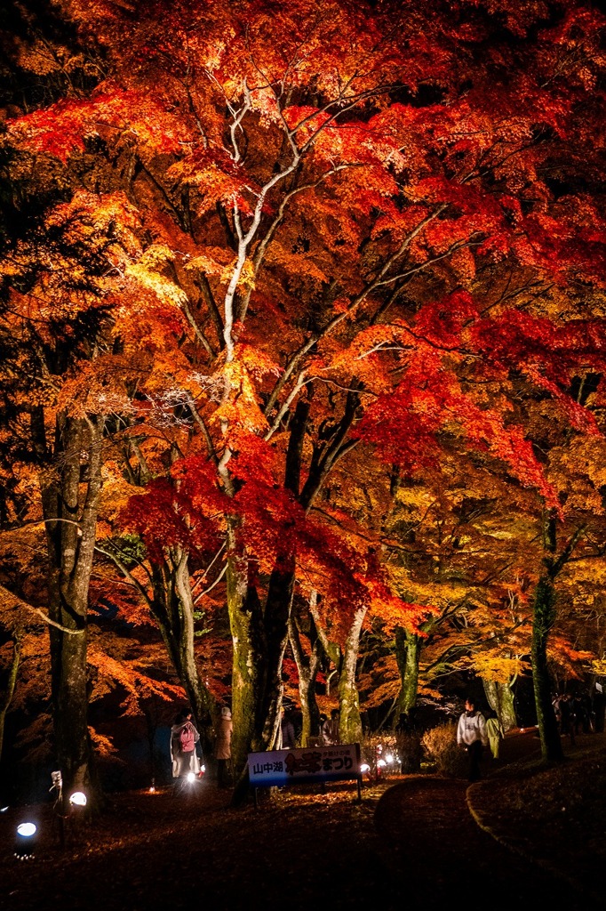 夕焼けの渚・紅葉まつり（６）