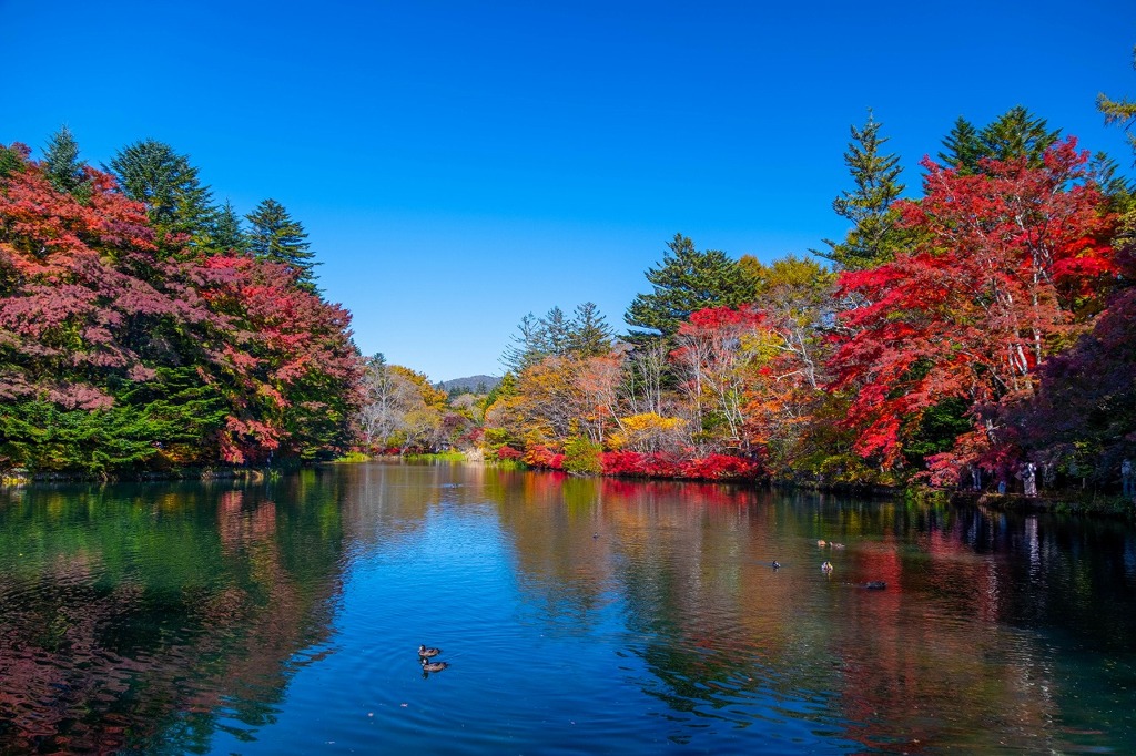 軽井沢の秋（１）