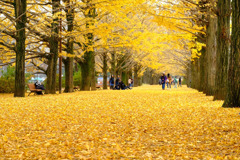 昭和記念公園１