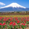 山中湖のゴールデンウィーク（２）