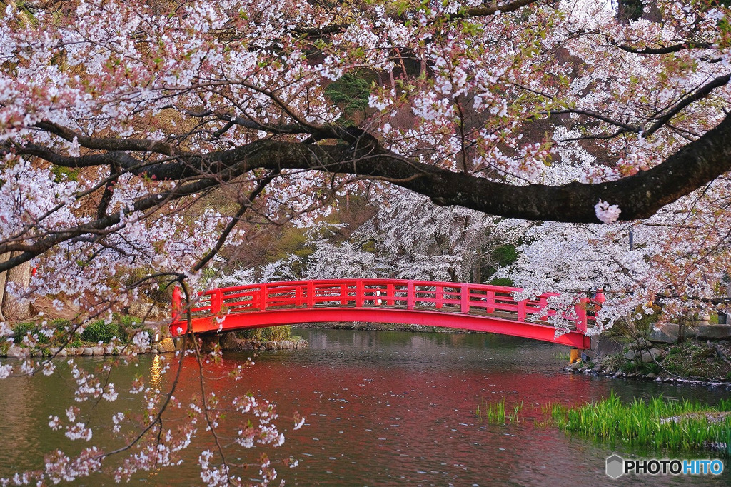 臥竜公園