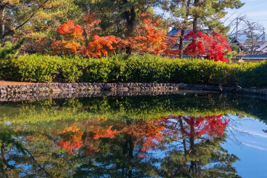 秋の奈良（53）