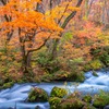 秋の奥入瀬渓流（32）