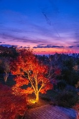 高知の夕暮れ（４）