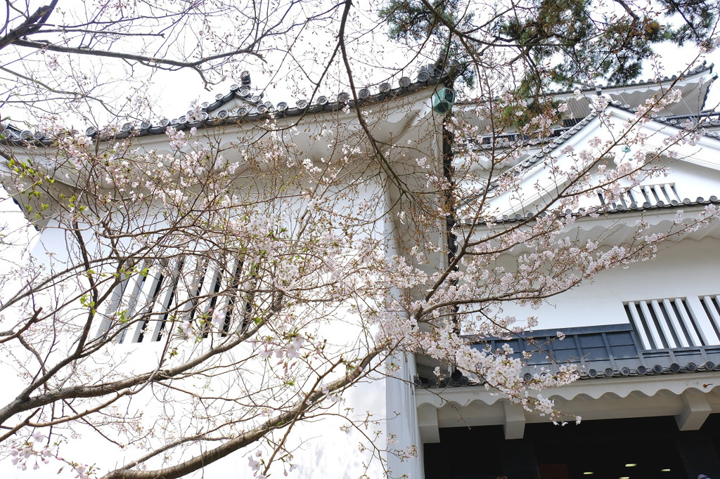 岡崎城３