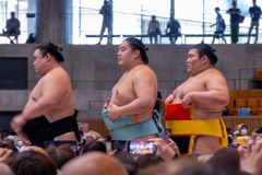 大相撲静岡場所（31）