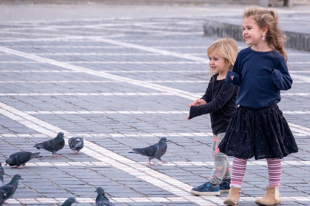 秋のブラショフ（25）