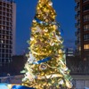 メリークリスマス2022（２）