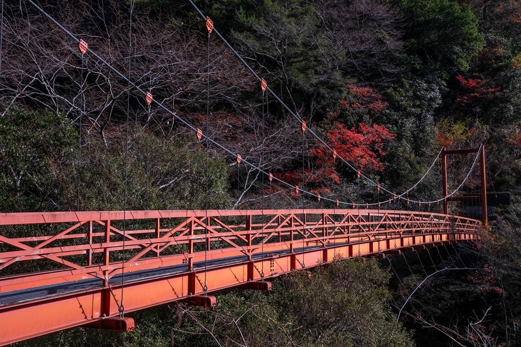 12月の高知（51）