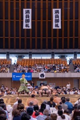 大相撲静岡場所（６）