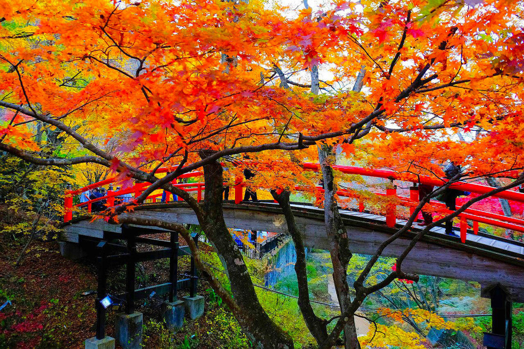 伊香保の紅葉（３）