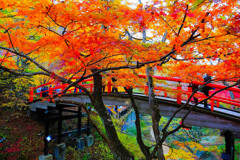伊香保の紅葉（３）