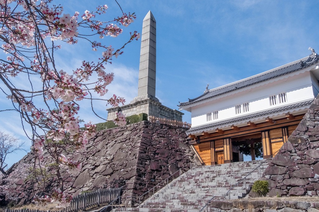 舞鶴城の桜（４）