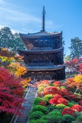 秋の湖南三山（７）