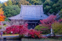 12月の奈良（47）