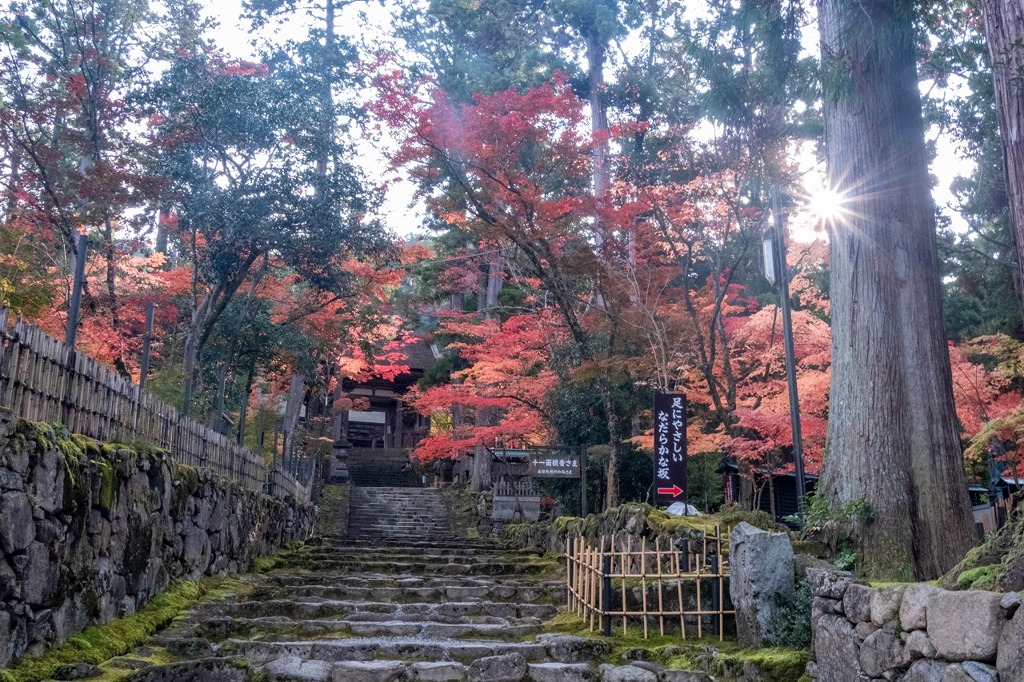 湖東の秋（４）