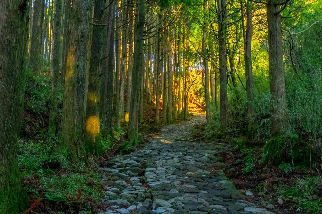 箱根の夜明け（9）