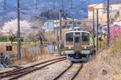 春の吾妻線