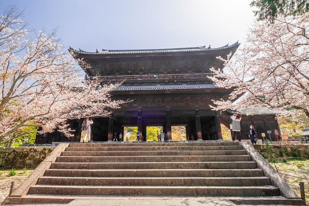 京都の春（16）