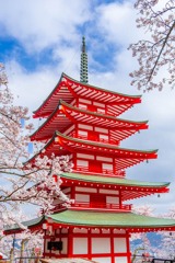 山梨の春（９）