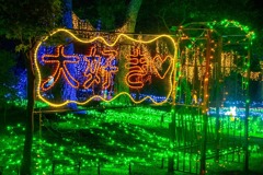 つま恋イルミネーション（５）