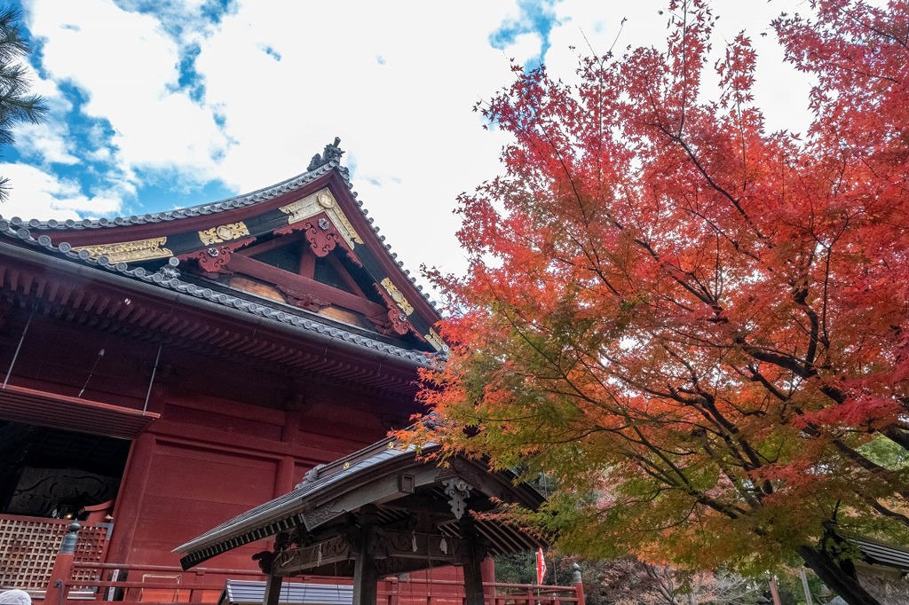 秋の上野公園（２）