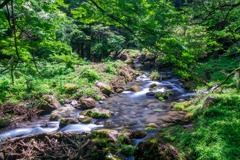 元滝伏流水（１）