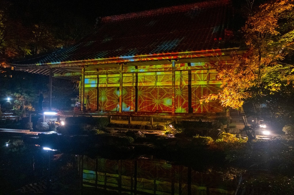 夜の紅葉（９）