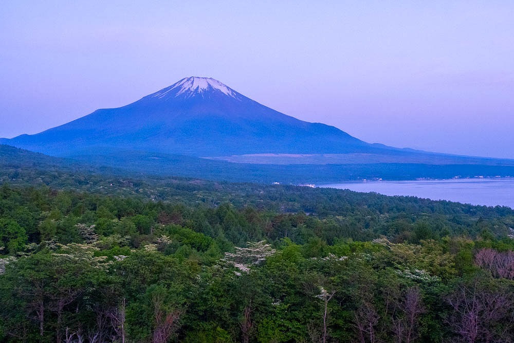 6月の山中湖（２）